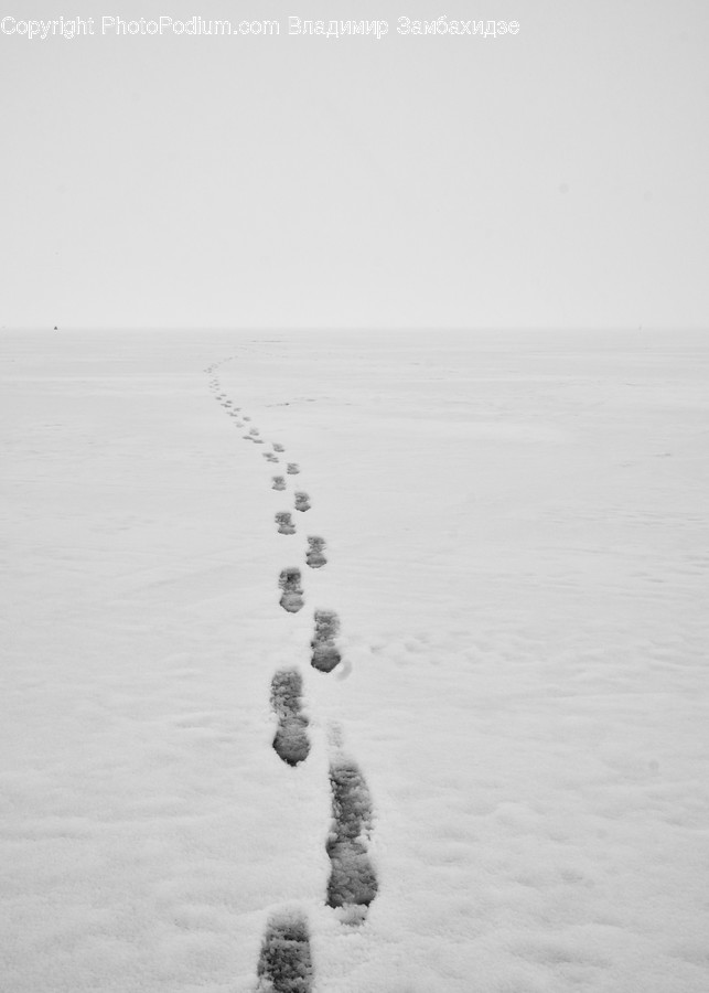 Footprint