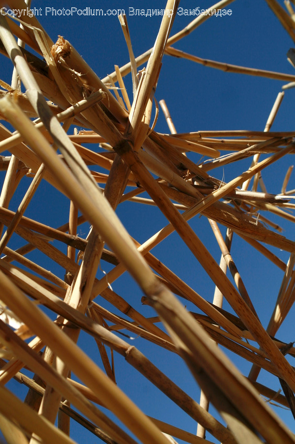 Construction, Scaffolding, Wood, Sunlight