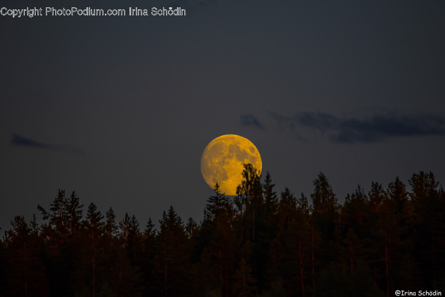 Nature, Outdoors, Night, Outer Space, Astronomy