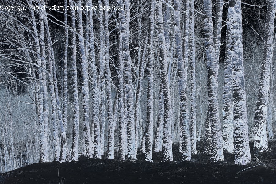 Nature, Ice, Outdoors, Snow, Rug