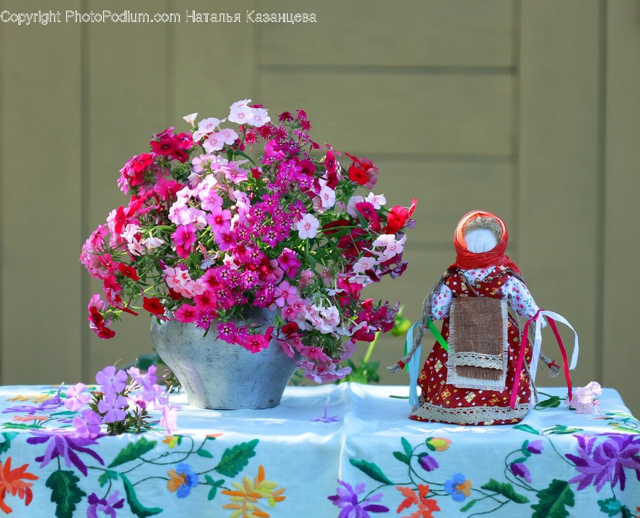 Plant, Human, Person, Flower, Blossom