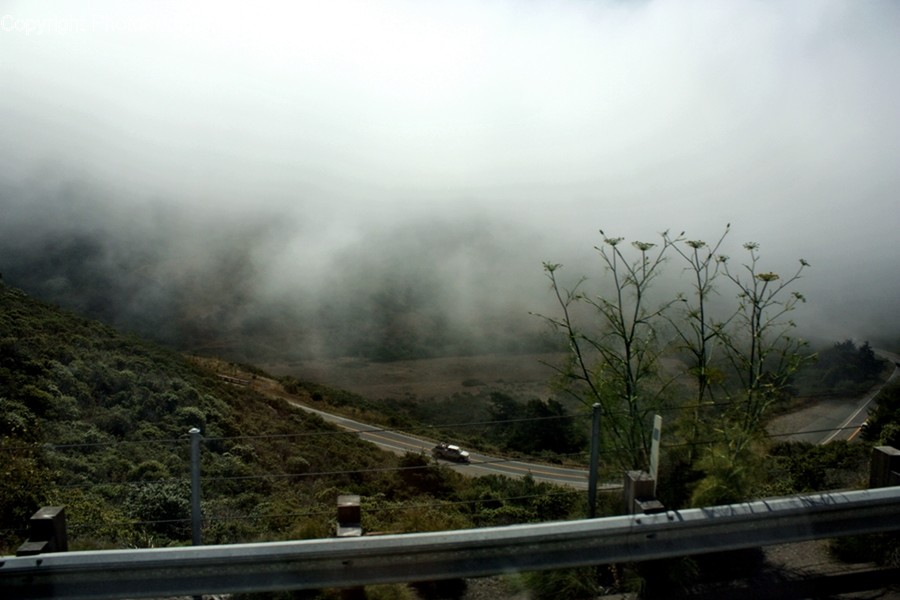 Nature, Weather, Outdoors, Animal, Bird