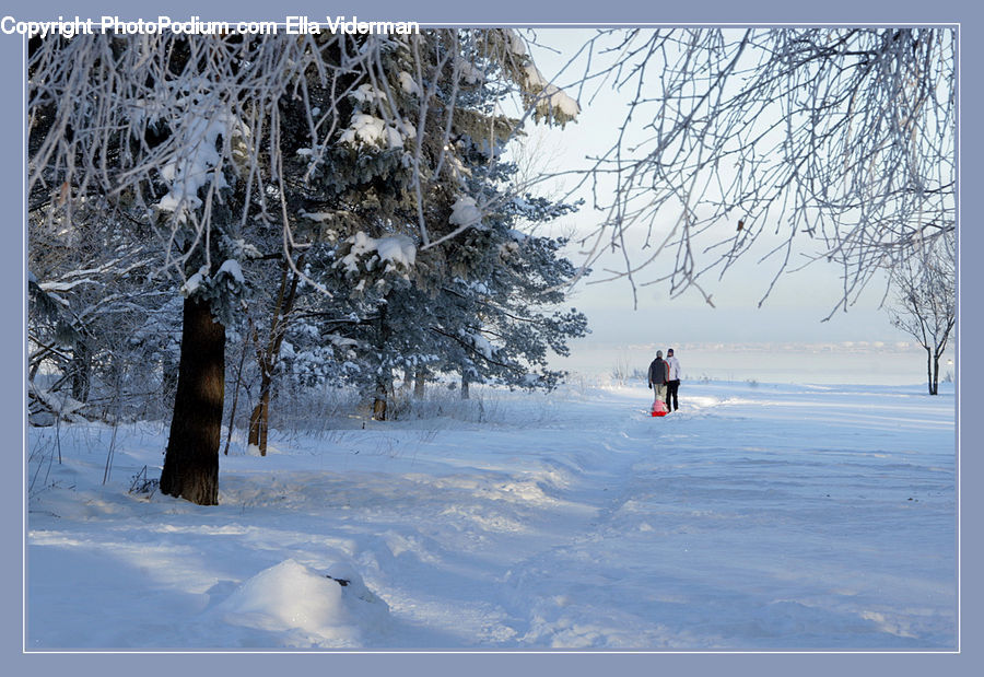 Leisure Activities, Landscape, Nature, Scenery