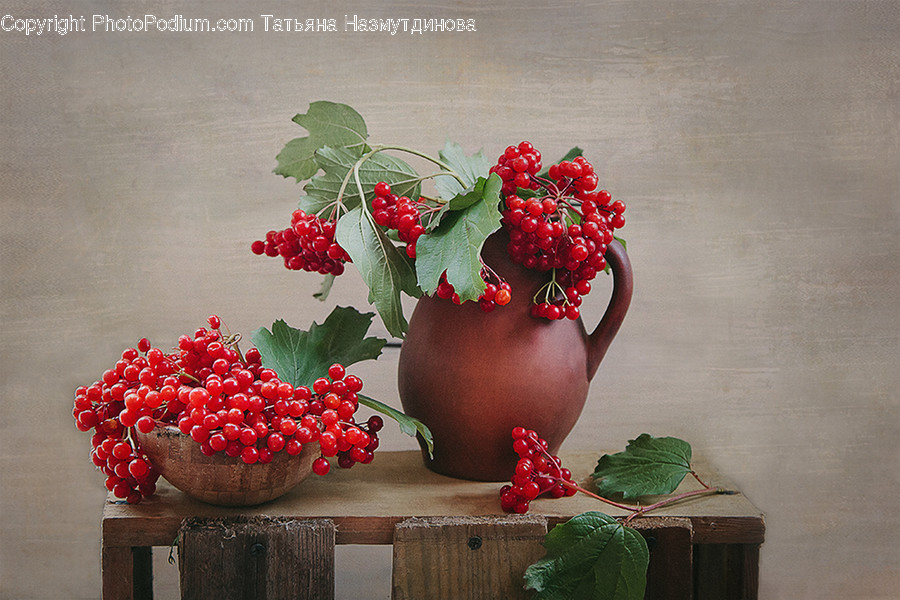 Plant, Food, Fruit, Cherry, Glass