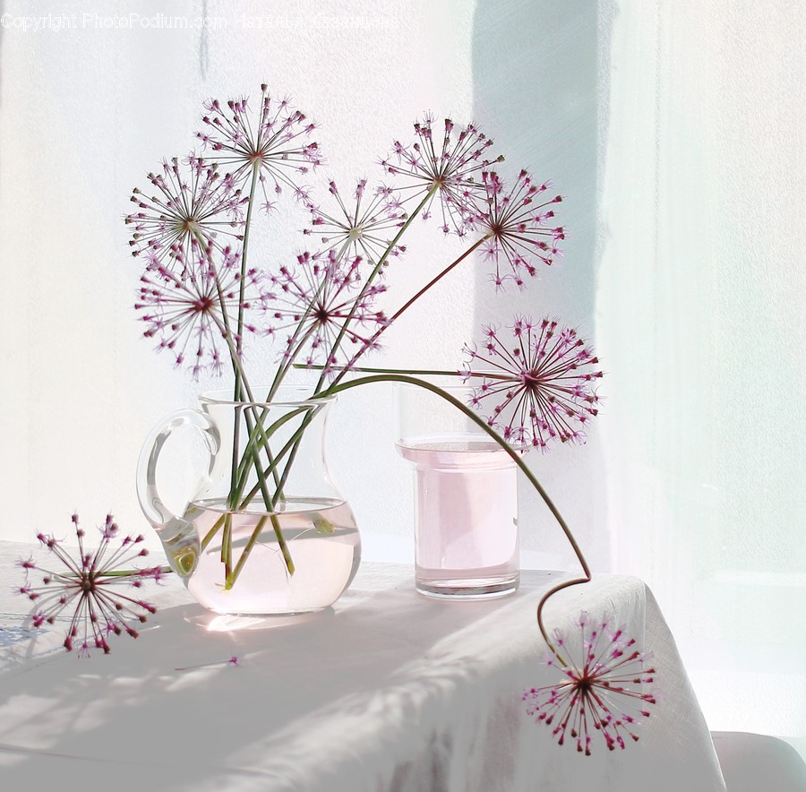 Plant, Flower, Blossom, Art, Pottery