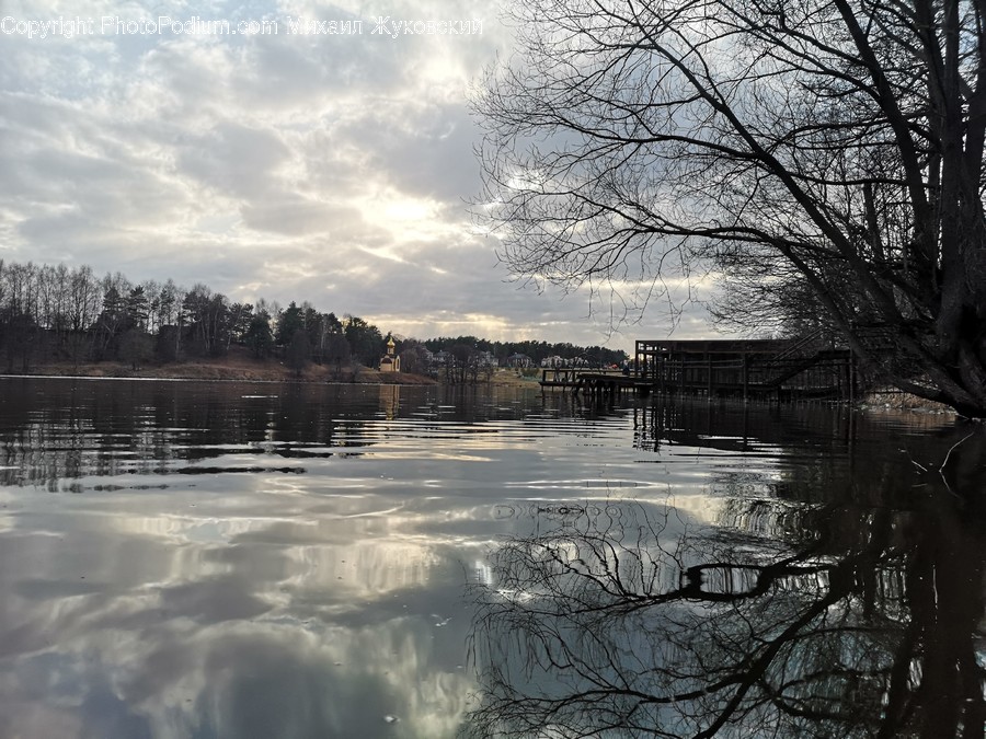 Water, Outdoors, Land, Nature, Plant