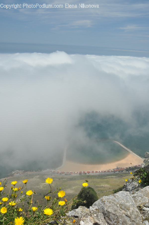 Nature, Weather, Outdoors, Fog, Mist