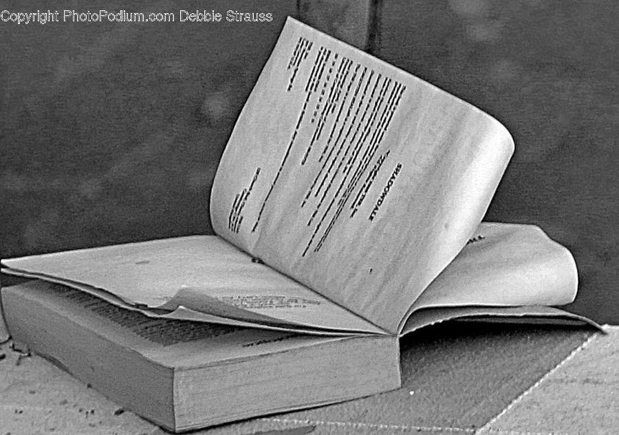 Book, Text, Paper, Cushion