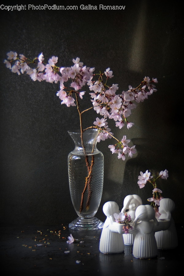 Plant, Pottery, Vase, Jar, Ornament