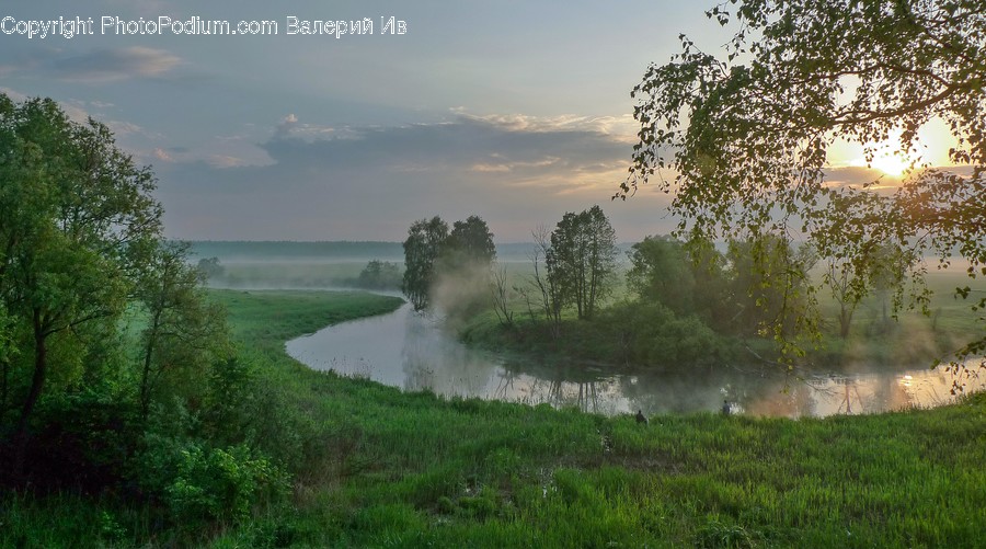 Nature, Weather, Outdoors, Fog, Mist