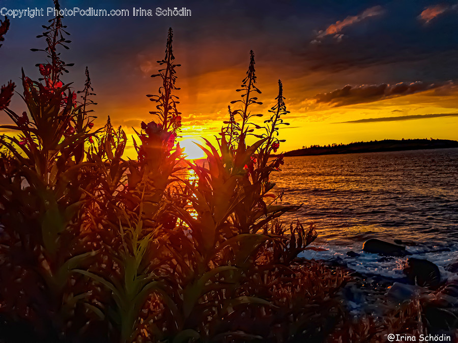 Nature, Outdoors, Sunlight, Sky, Red Sky