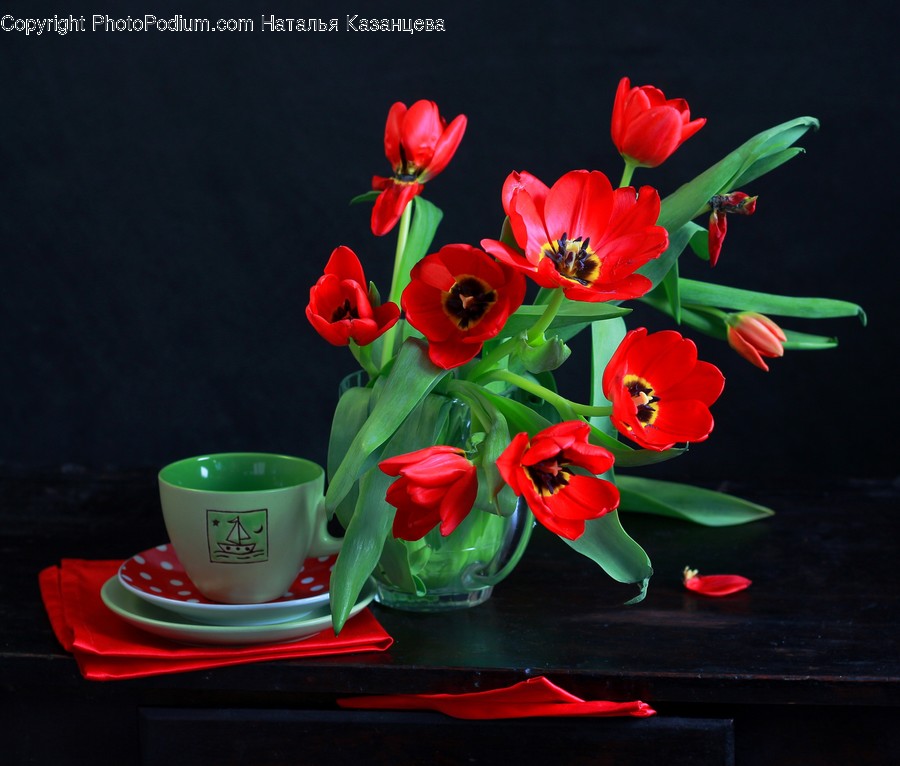 Coffee Cup, Cup, Saucer, Pottery, Plant