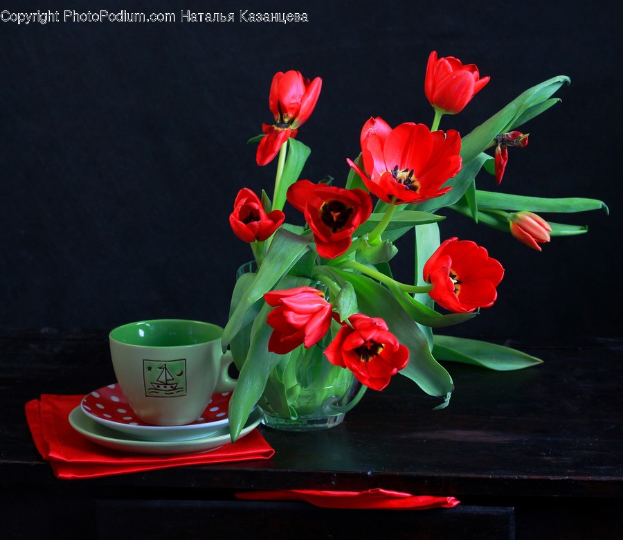 Pottery, Saucer, Coffee Cup, Cup, Plant