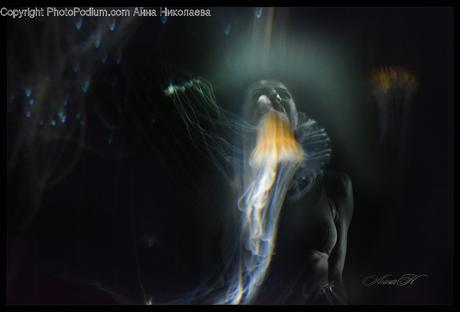 Animal, Sea Life, Invertebrate, Person, Human