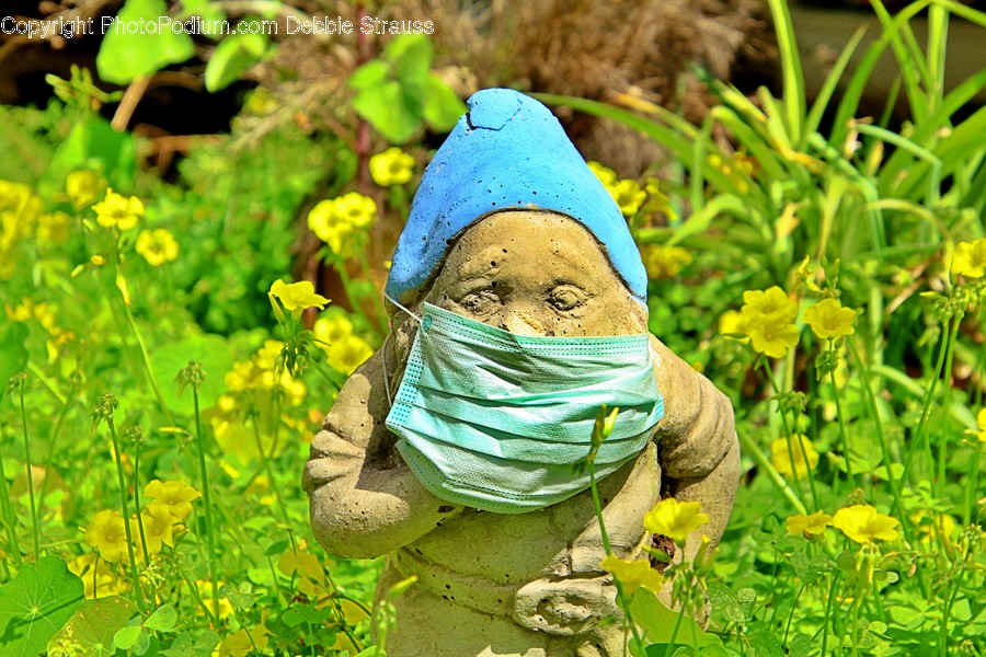 Outdoors, Clothing, Apparel, Potted Plant, Vase