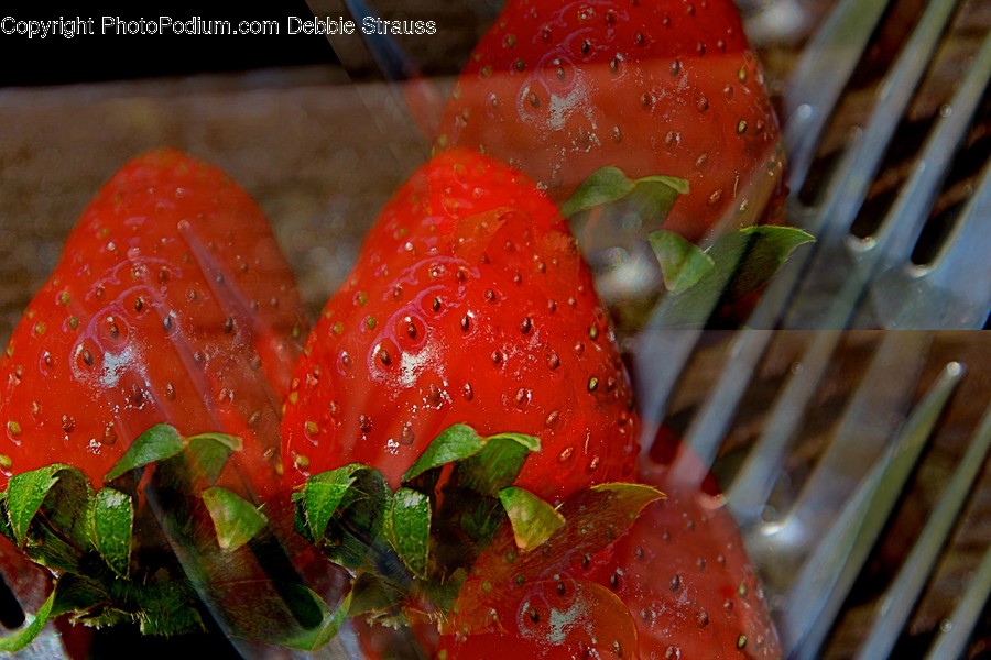 Strawberry, Plant, Fruit, Food, Fungus