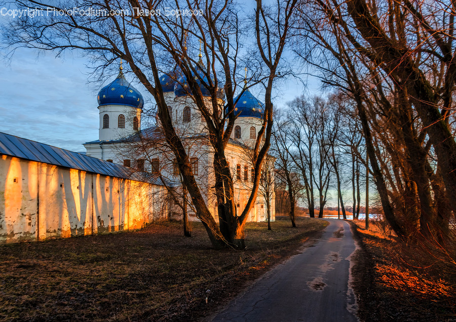Nature, Outdoors, Building, Countryside, Tree