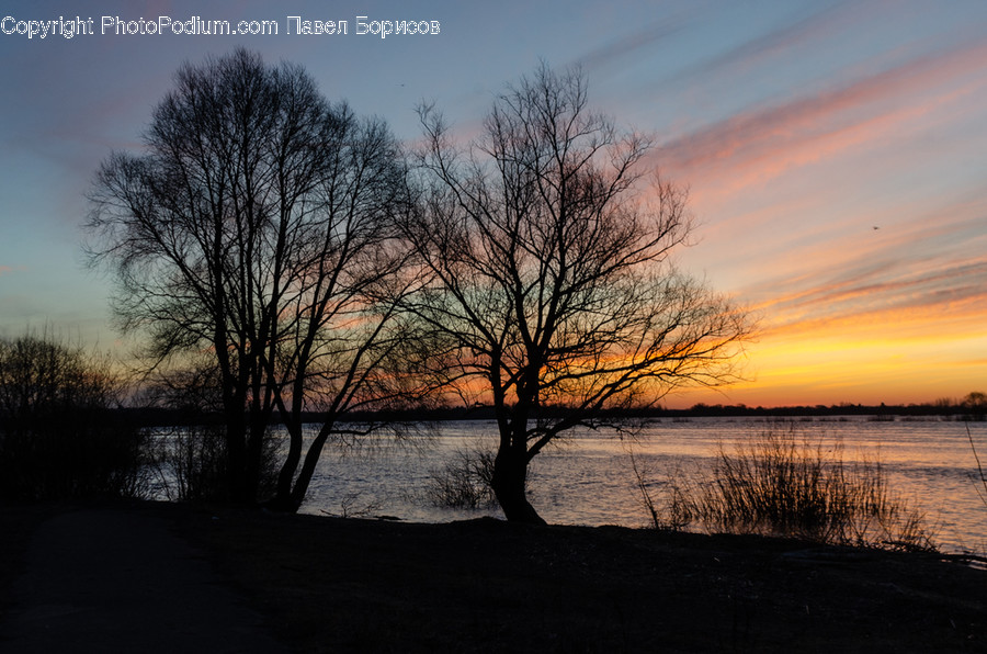 Nature, Outdoors, Dusk, Sky, Dawn