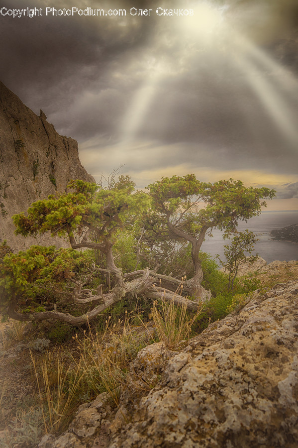 Nature, Outdoors, Cliff, River, Water