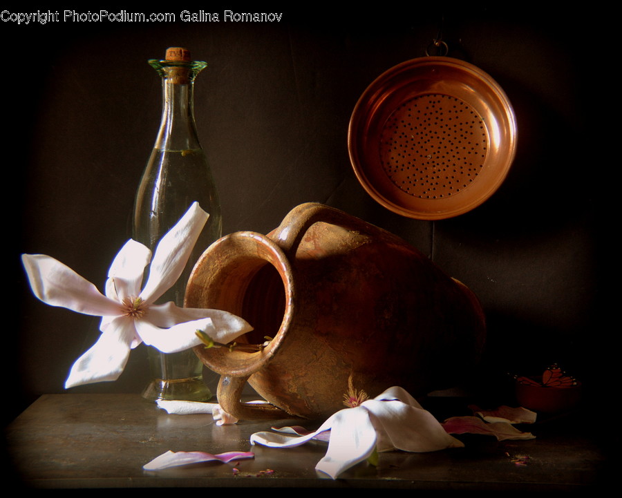 Pottery, Cup, Coffee Cup, Plant, Jug