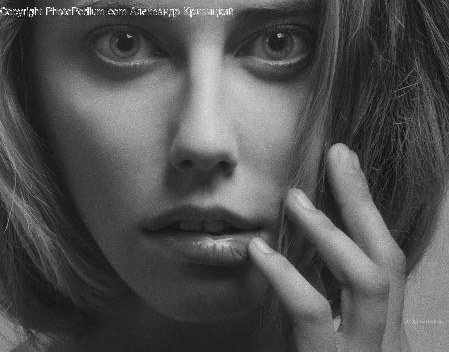 Face, Human, Person, Head, Portrait