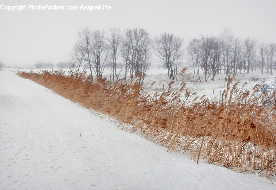 Dirt Road, Gravel, Road, Blizzard, Outdoors, Snow, Weather