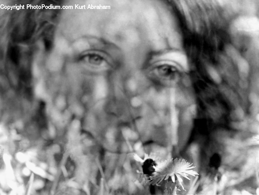 Dandelion, Flower, Plant, Person, Portrait, Selfie, Smoke