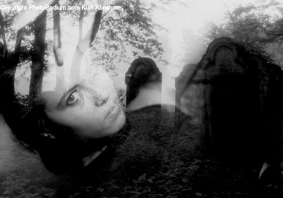Plant, Potted Plant, Tomb, Person, Portrait, Selfie, Bunker