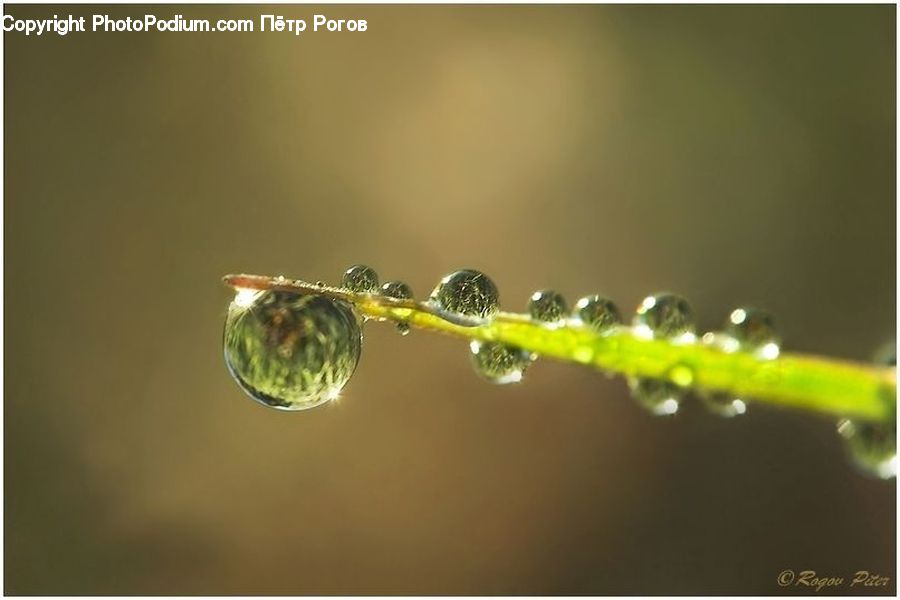 Droplet