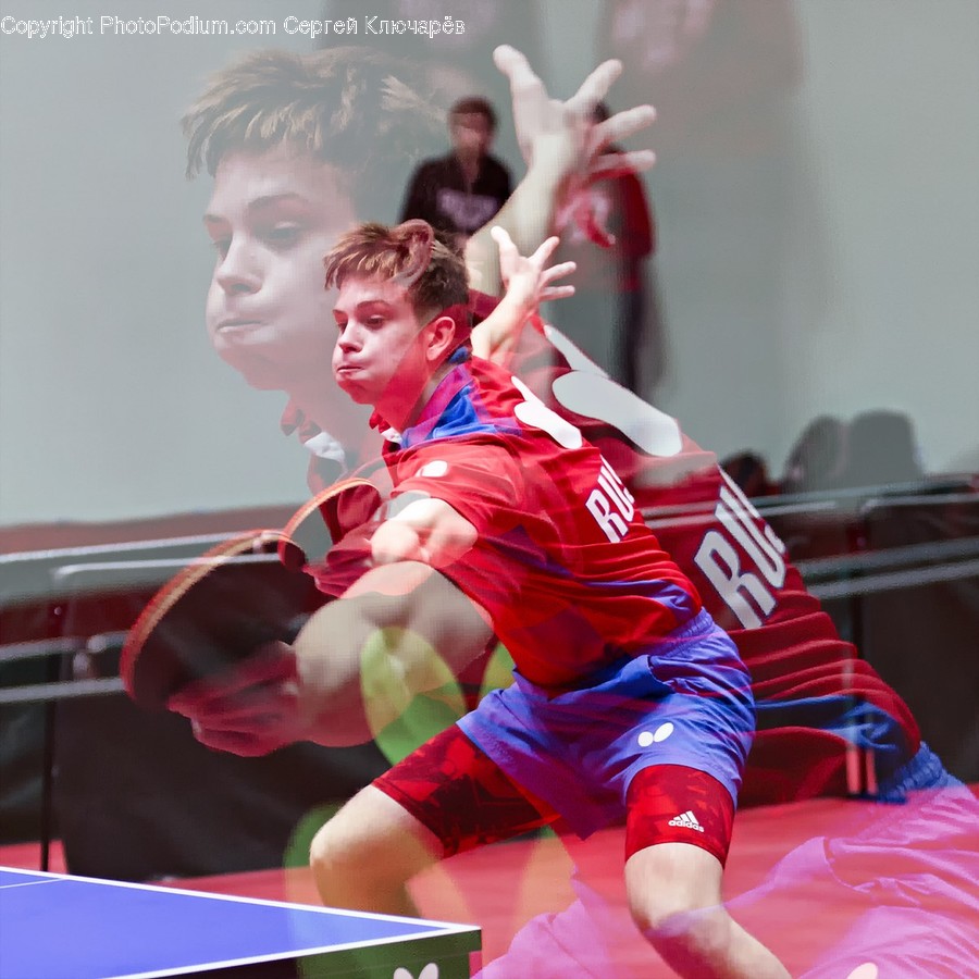 Human, Person, Sport, Sports, Ping Pong