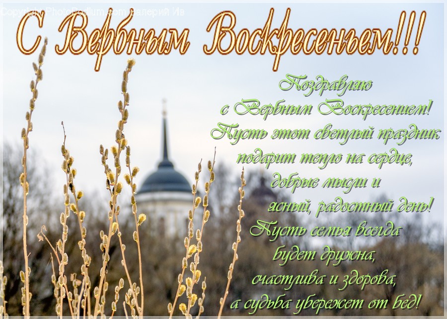 Dome, Building, Architecture, Plant, Worship