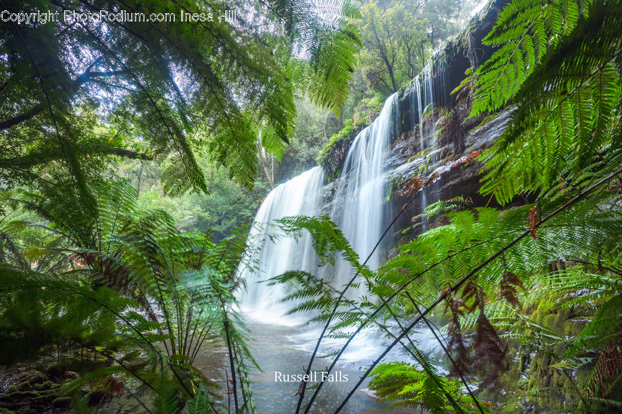River, Water, Nature, Outdoors, Waterfall