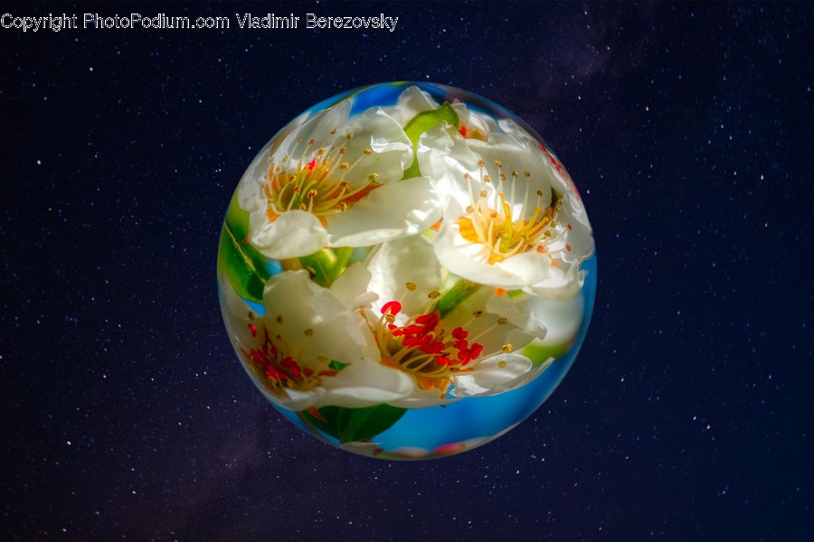 Sphere, Food, Egg, Outer Space, Astronomy