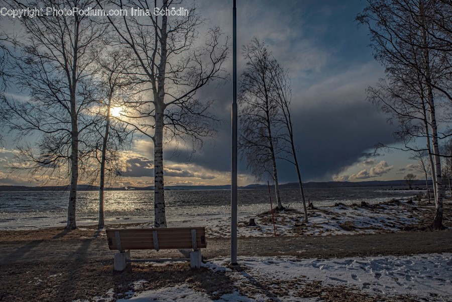 Furniture, Bench, Park Bench, Ground, Flare