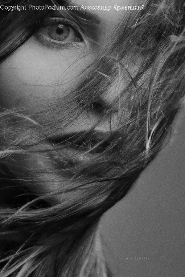 Face, Human, Person, Hair, Beard