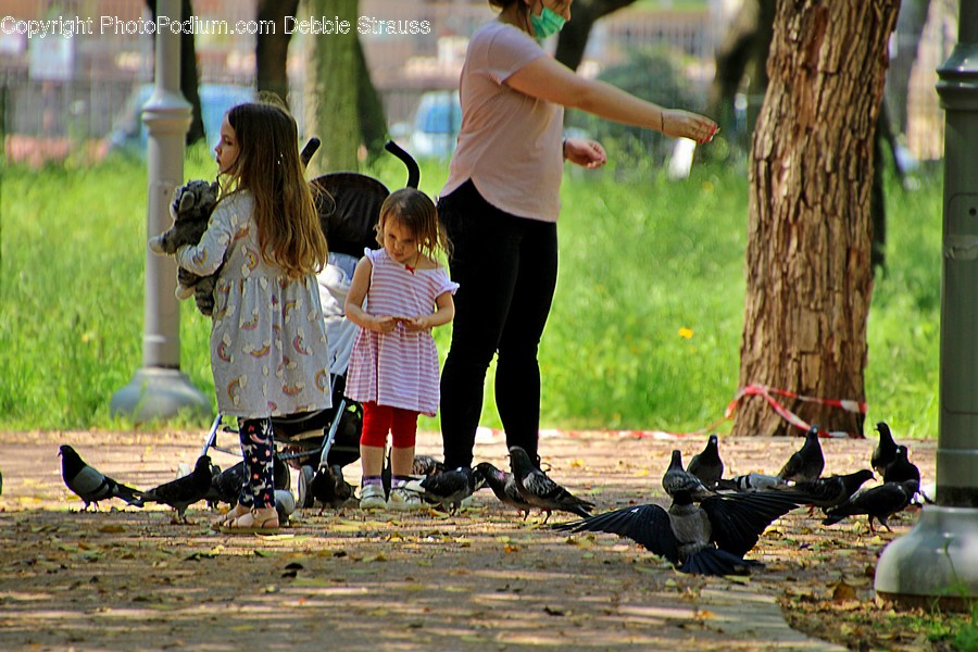 Person, Human, Animal, Bird, Clothing