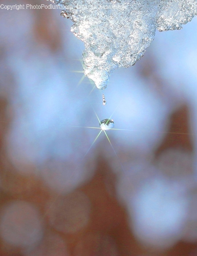 Nature, Outdoors, Ice, Snow, Plant