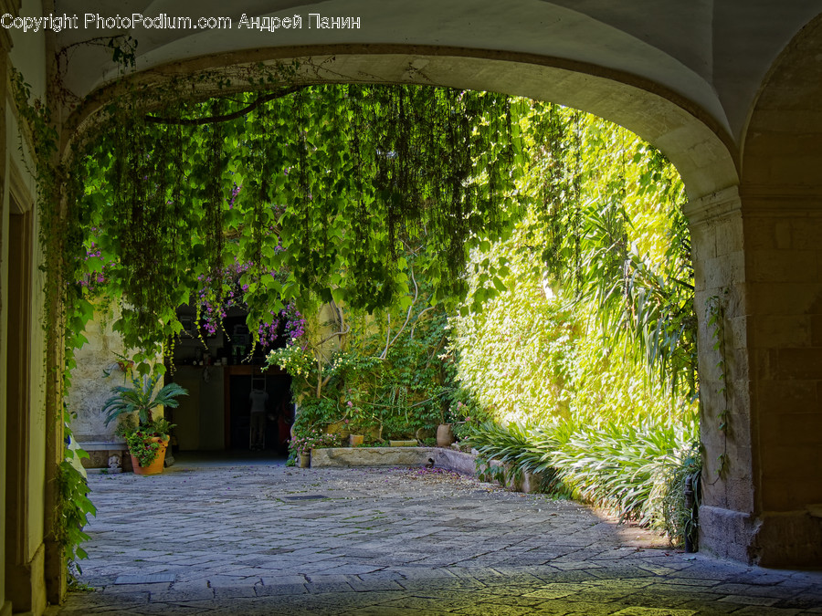 Walkway, Path, Outdoors, Patio, Garden