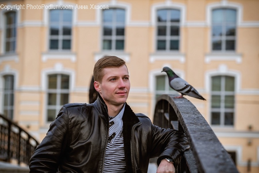 Bird, Animal, Clothing, Apparel, Jacket