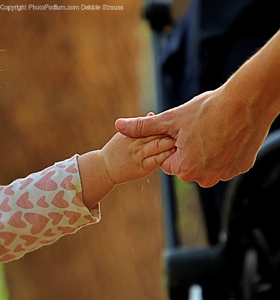 Hand, Holding Hands, Person, Human, Finger