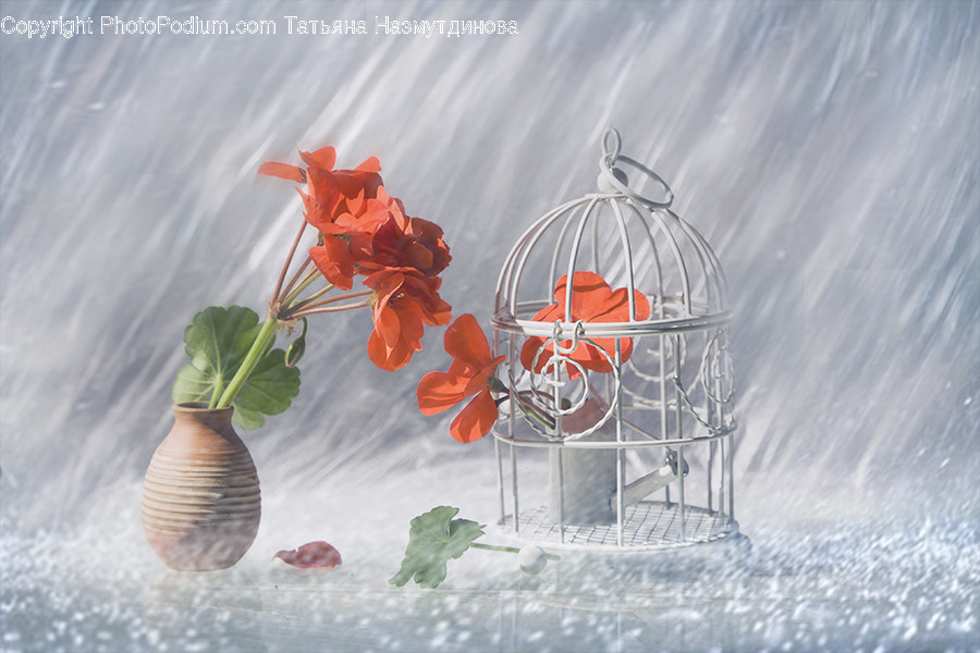 Plant, Graphics, Art, Nature, Floral Design