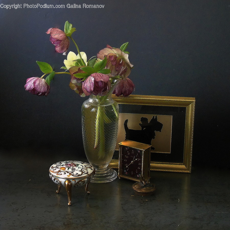 Ornament, Ikebana, Blossom, Jar, Art
