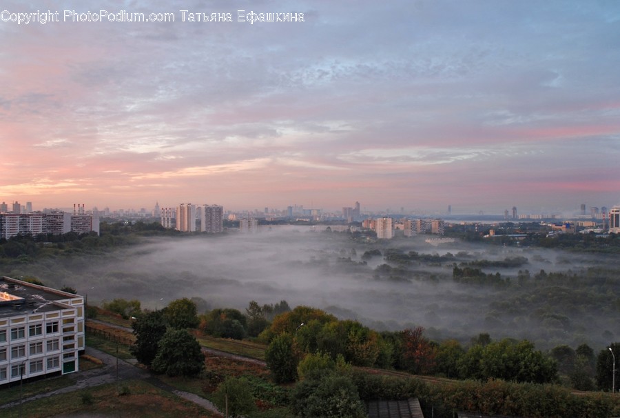 Nature, Outdoors, Weather, Fog, Scenery