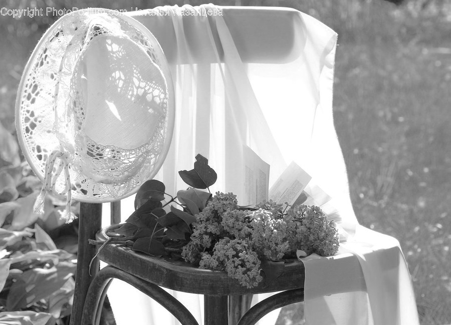 Plant, Flower, Blossom, Flower Arrangement, Flower Bouquet