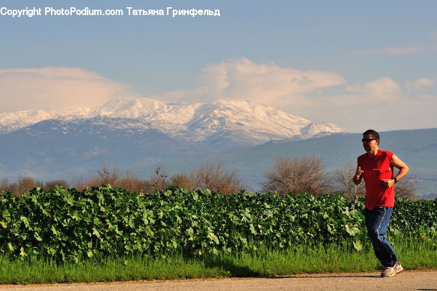 Human, People, Person, Exercise, Running, Sport, Fitness