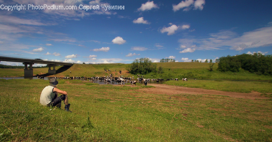 Nature, Field, Human, Person, Outdoors