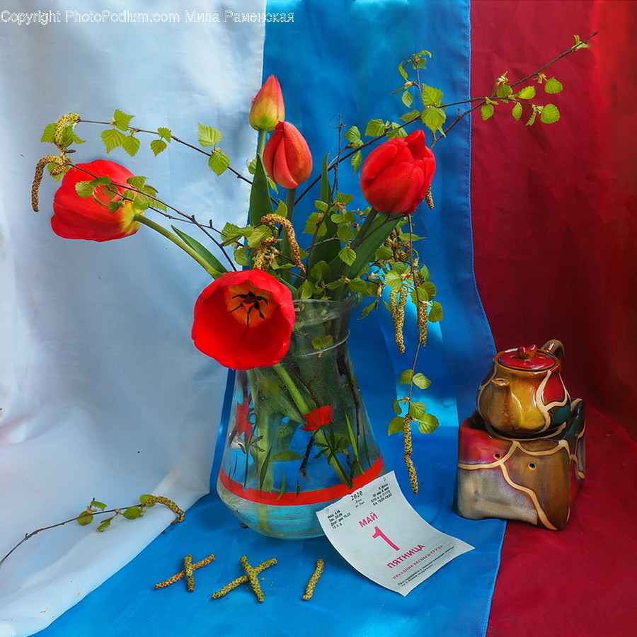 Plant, Flower, Blossom, Flower Arrangement, Flower Bouquet
