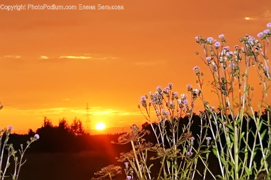 Nature, Outdoors, Sky, Sun, Sunlight