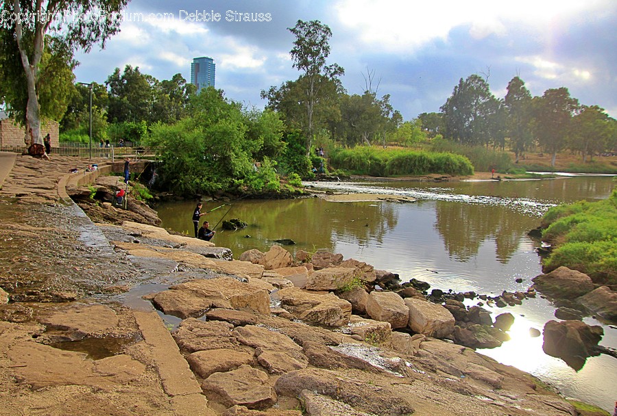 Person, Human, Path, Walkway, Water