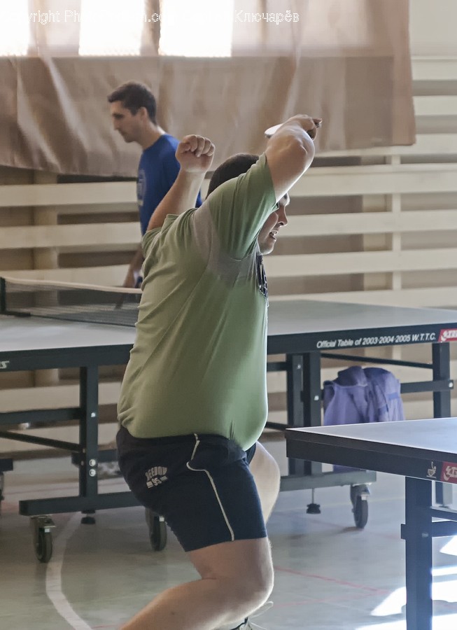 Human, Person, Sport, Sports, Ping Pong
